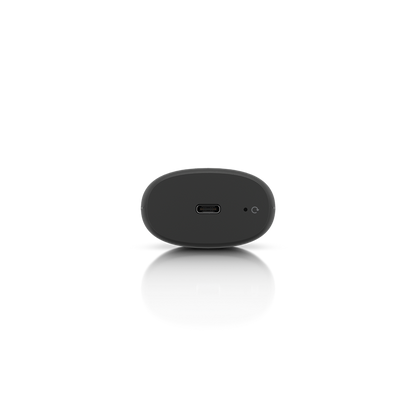 Display Cast Lite